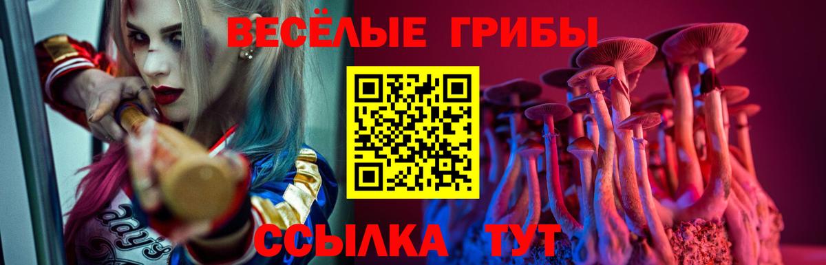 Галлюциногенные грибы Magic Shrooms  Галлюциногенные грибы ЛСД  Вход с VPN  Мичуринск 