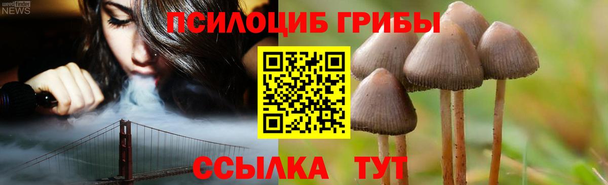 Галлюциногенные грибы Magic Shrooms Мичуринск